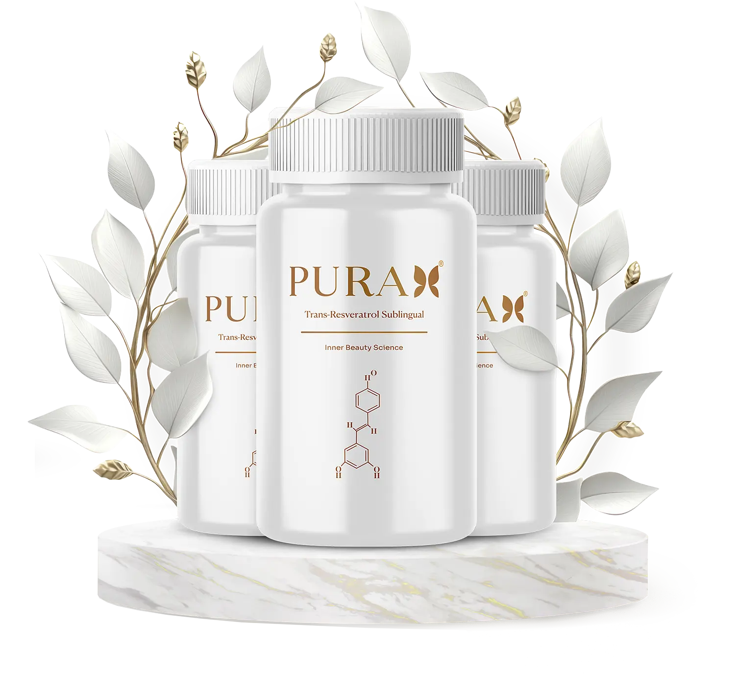 AnyConv.com__hero-celan-purah.webp AnyConv.com__hero-celan-purah.webp